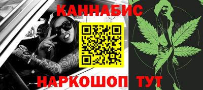 МДПВ Дубна