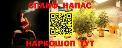 гидропоника Донской